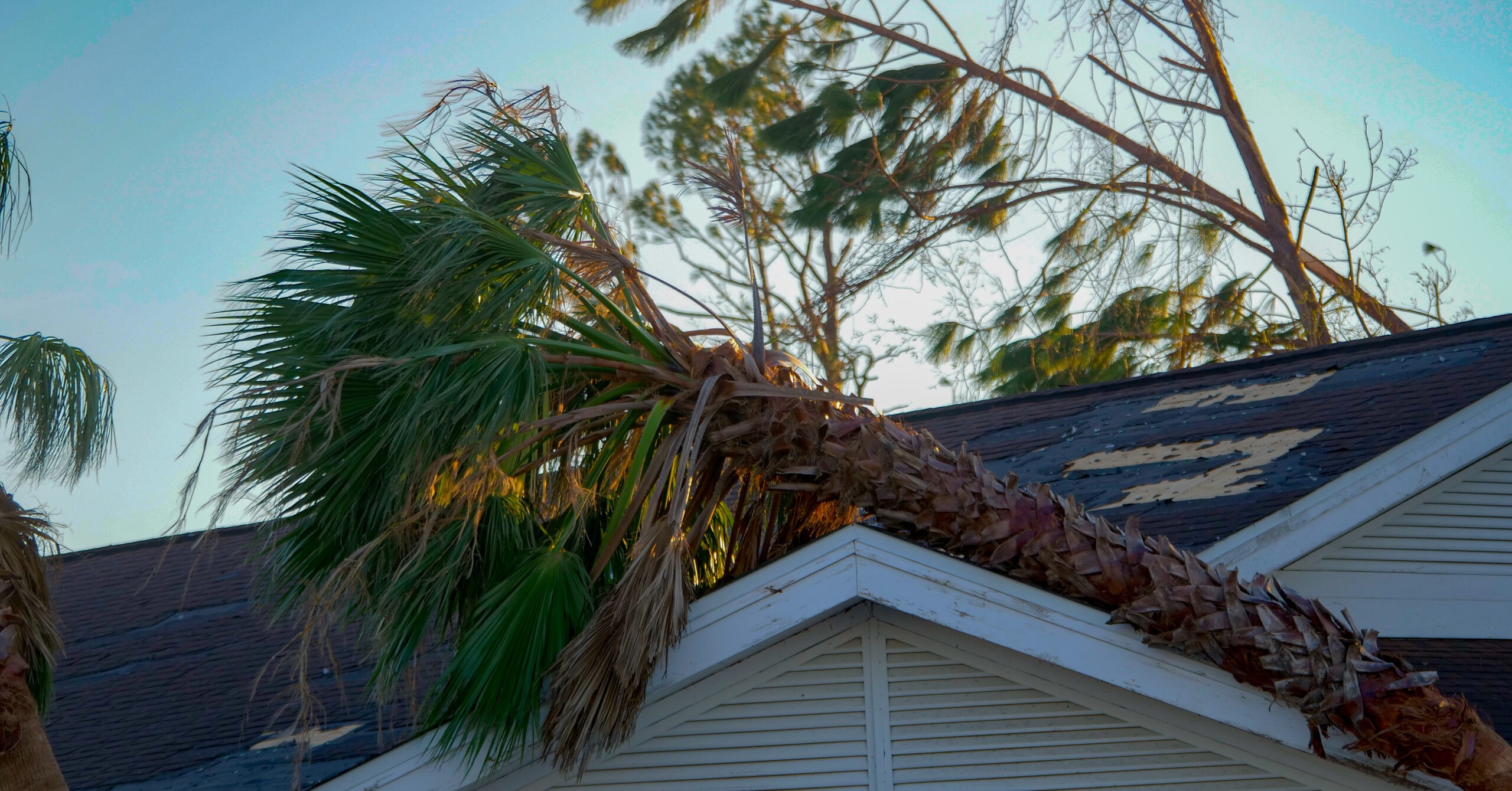 Lachman Public Adjuster: Reliable Experts for Wind Damage Insurance Claim in Illinois